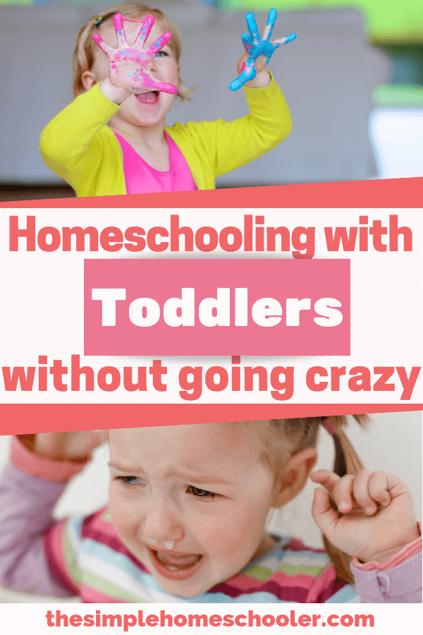 If you can't even take a shower with your kids running around - how can you homeschool?! Let me share with you the ideas and tips I've learned to deal with wild toddlers and busy kids while running my homeschool!