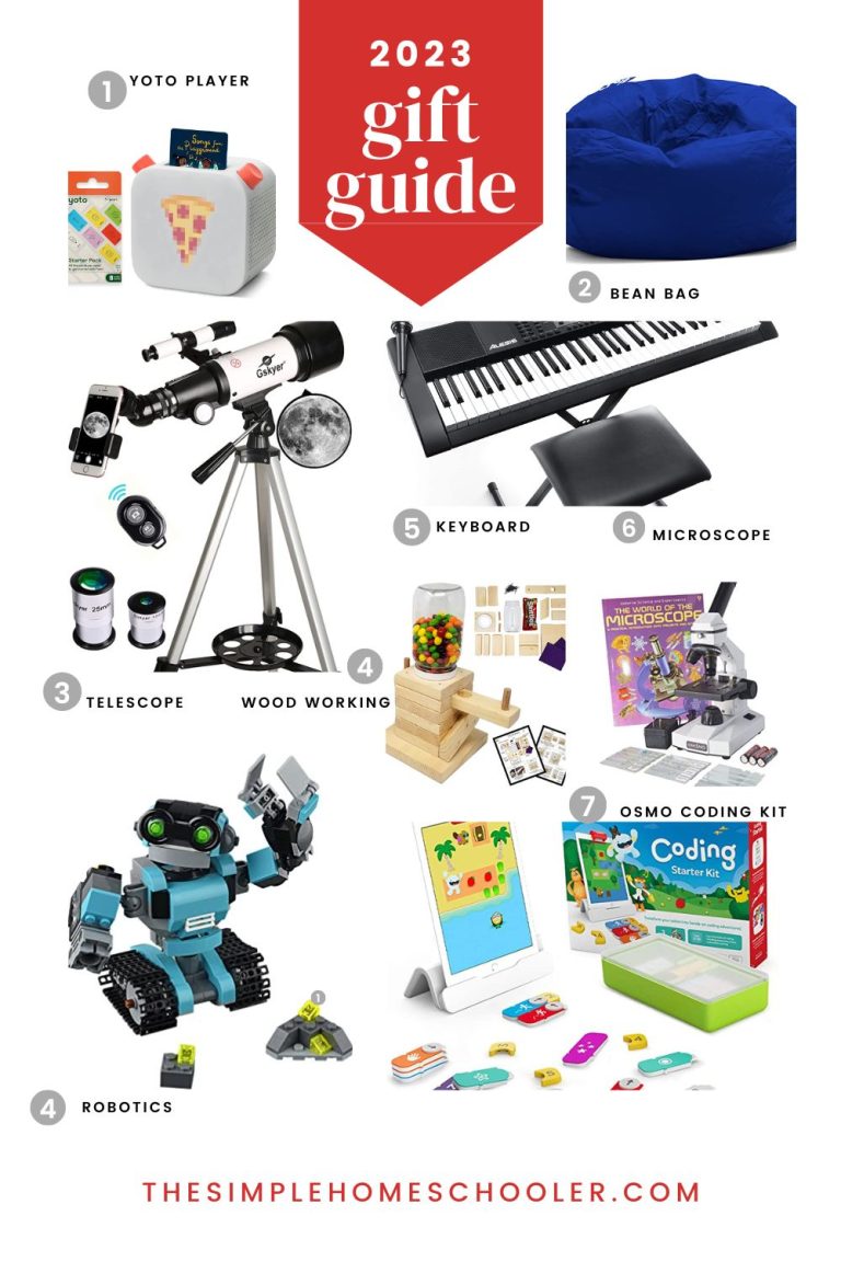 2023 Gift Guide for Homeschooler Pin