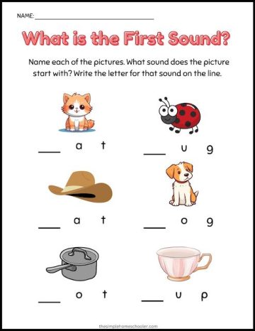 25 Free CVC Word Worksheets For Kindergarten: Easy Print - The Simple ...