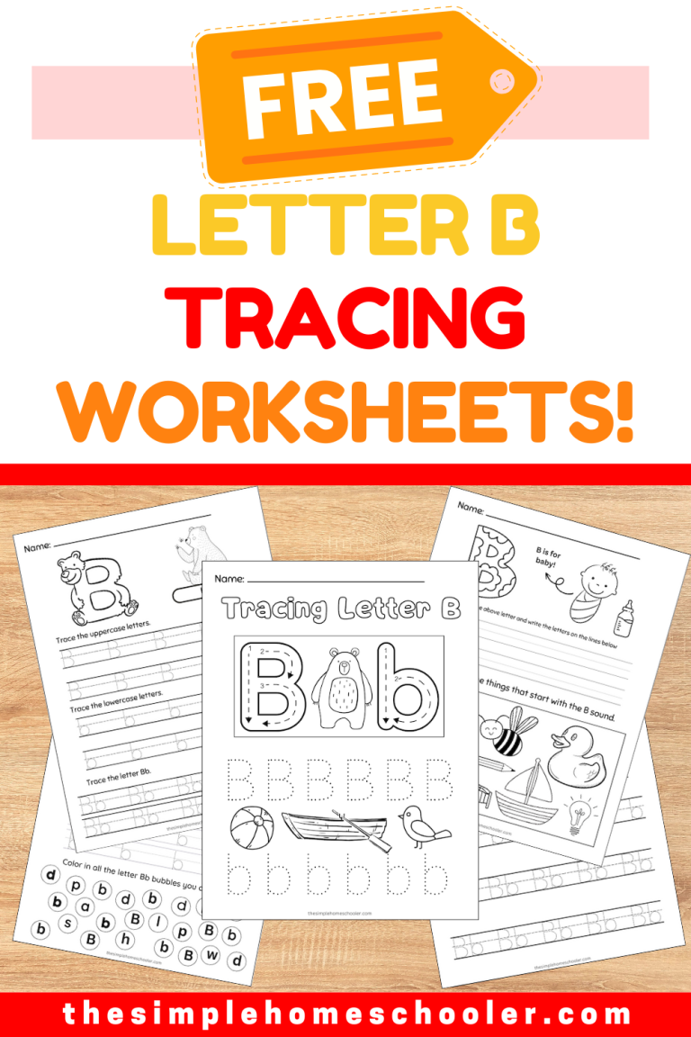 Letter B Tracing Worksheets Pin