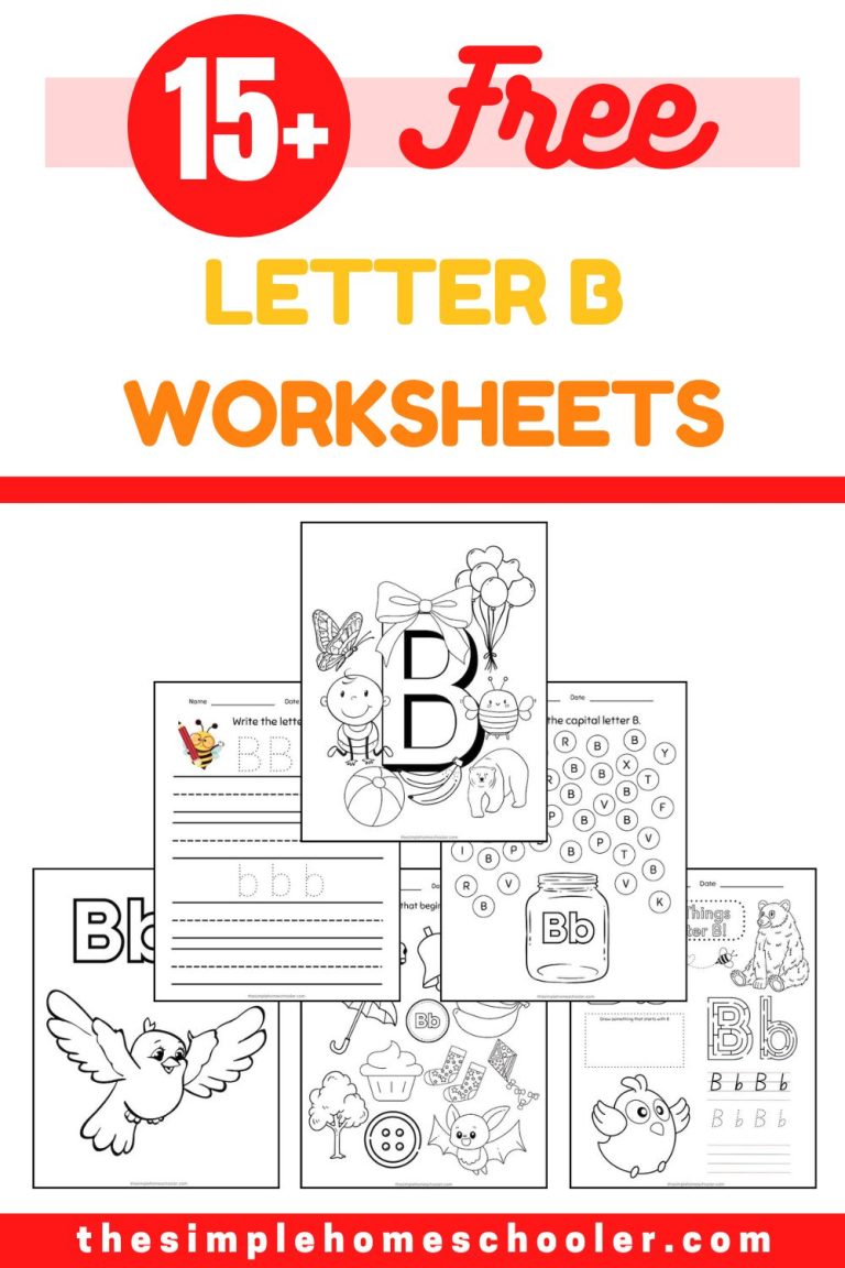 Letter B Worksheet Pin