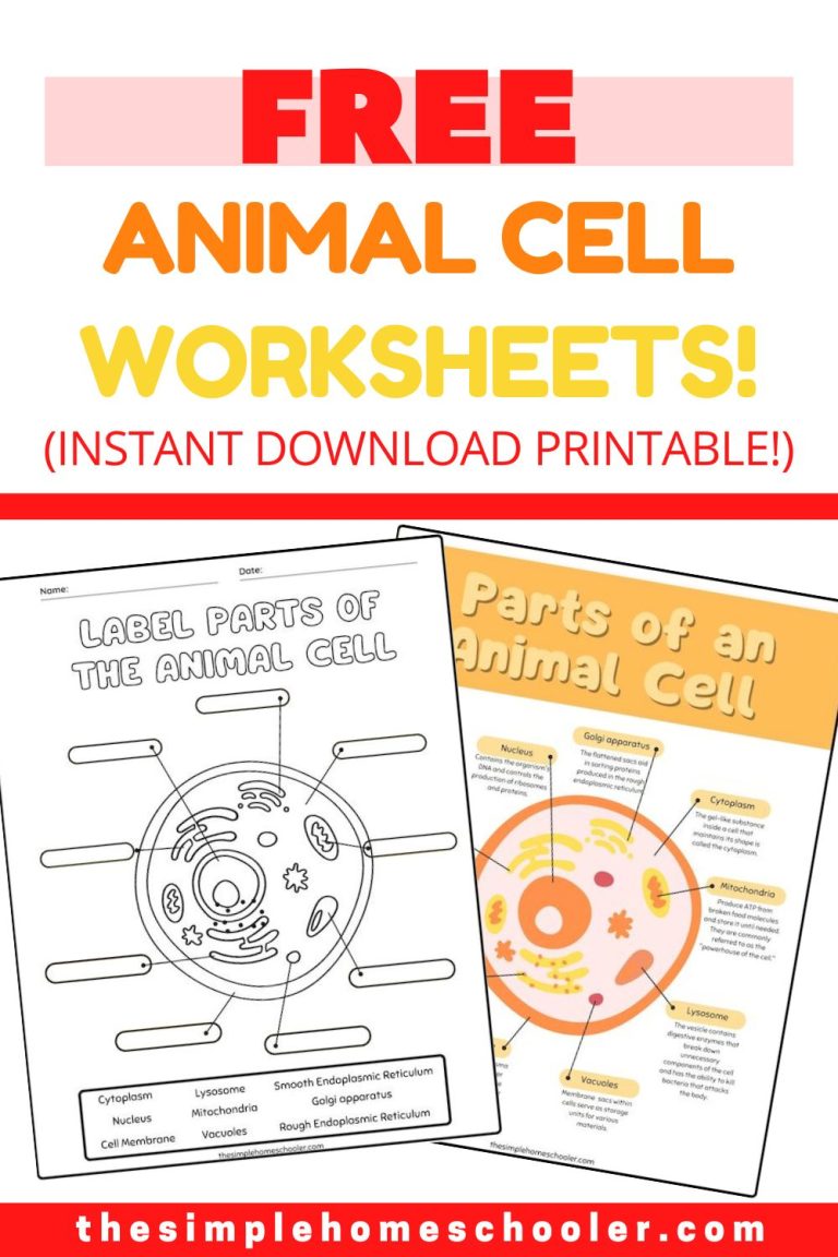 Animal Cell Worksheets Pin