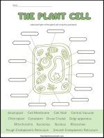 Free Plant Cell Worksheets With Answer Key! - The Simple Homeschooler