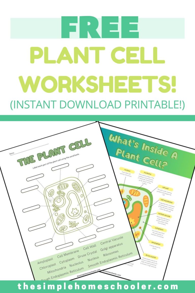 Plant Cell Worksheets Pin