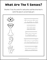 Best 5 Senses Coloring Pages: Free & Easy Print! - The Simple Homeschooler