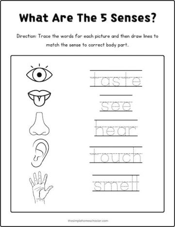 Best 5 Senses Coloring Pages: Free & Easy Print! - The Simple Homeschooler