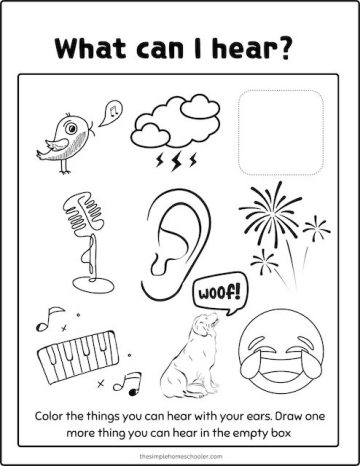 Best 5 Senses Coloring Pages: Free & Easy Print! - The Simple Homeschooler