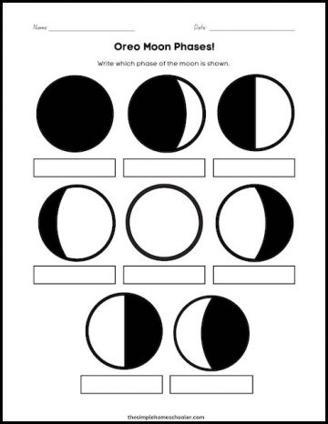 Tasty Oreo Phases of the Moon Worksheet With Answer Key: Free & Easy ...