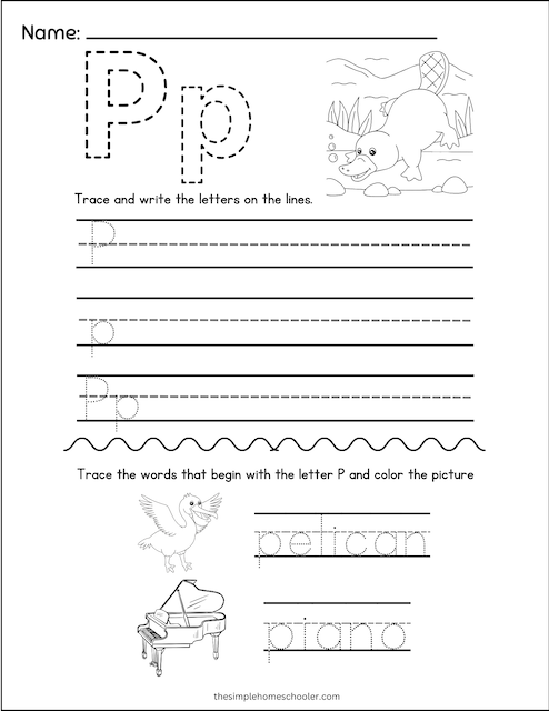 P Tracing Worksheet 10