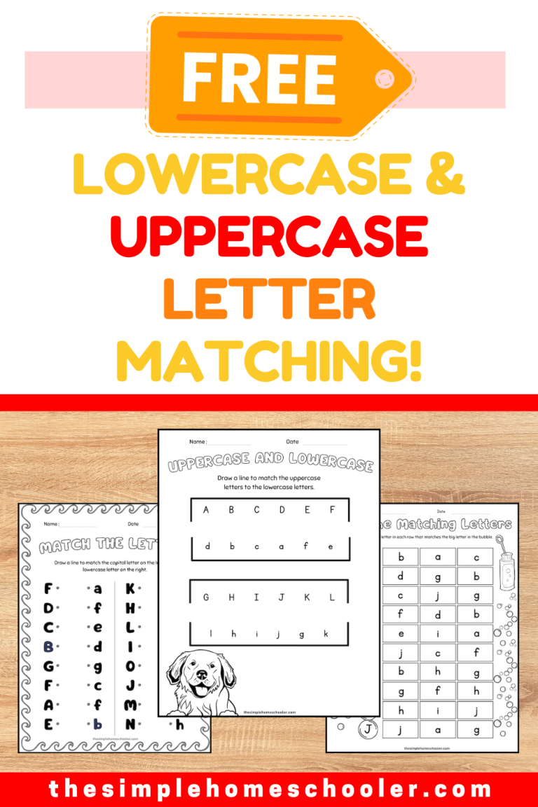 17+ Fun Printable Match Uppercase and Lowercase Letters Worksheets!