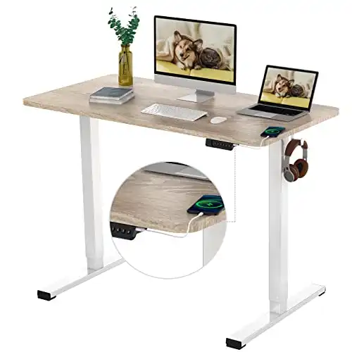 Standing Desk Quick Assembly Electric Adjustable