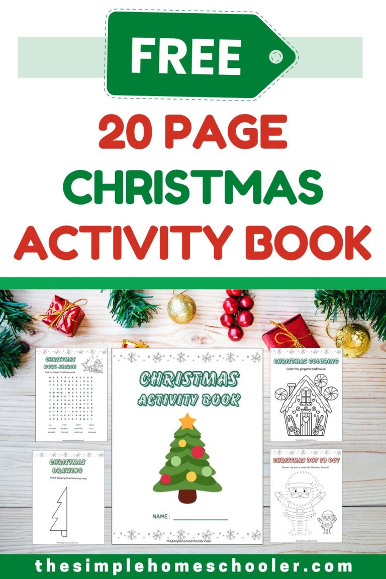 Christmas Activity Booklet Printable Pin