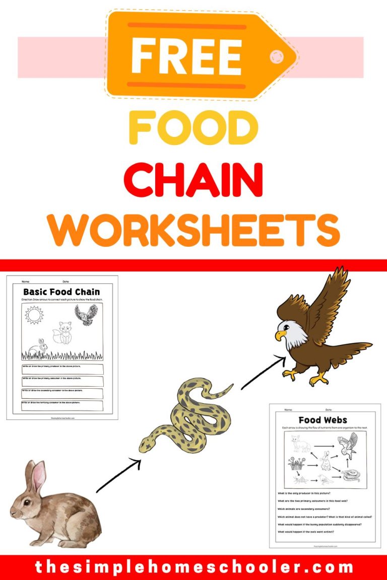 Ferocious Food Chain Worksheets: Free and Easy Print!