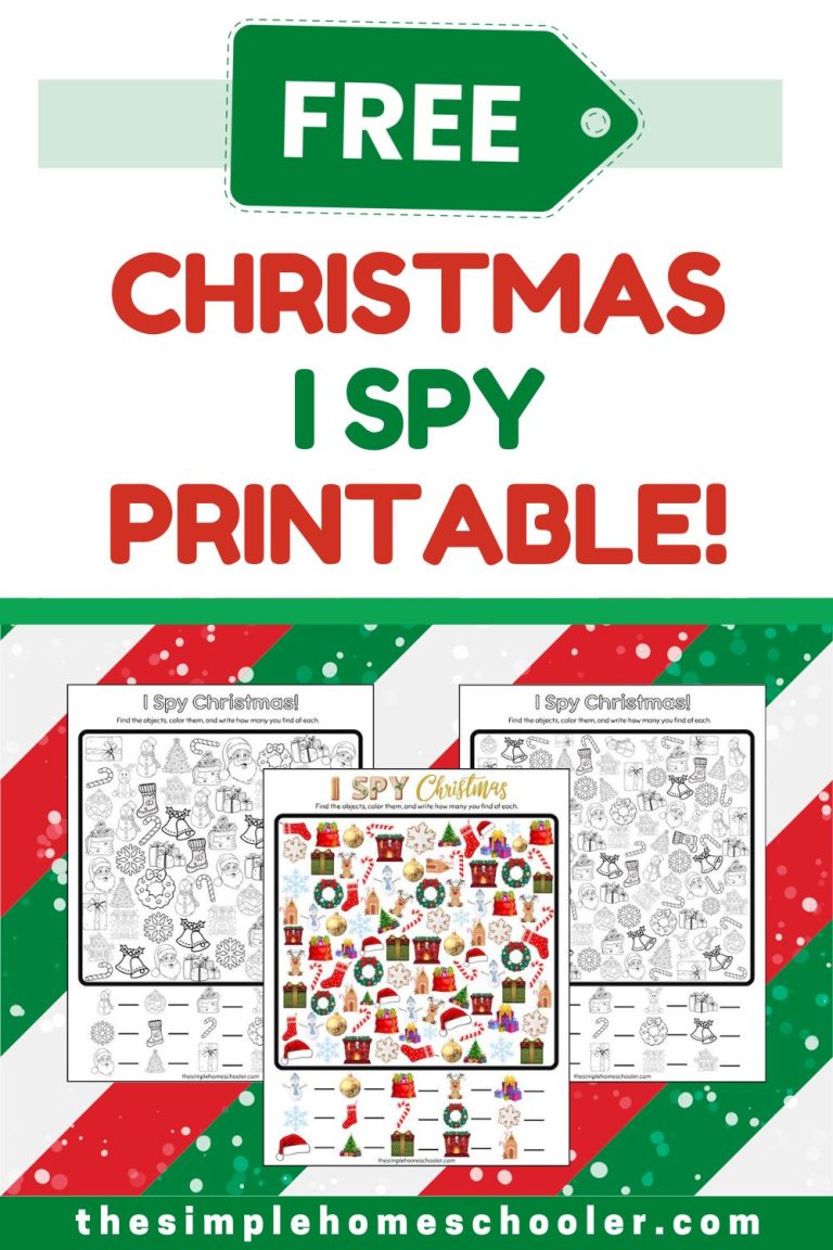 Christmas I Spy Printable Pin