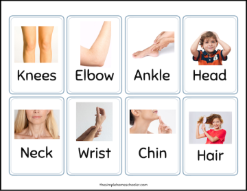 Free Printable Body Parts Flashcards For Kids! - The Simple Homeschooler