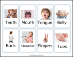 Free Printable Body Parts Flashcards For Kids! - The Simple Homeschooler