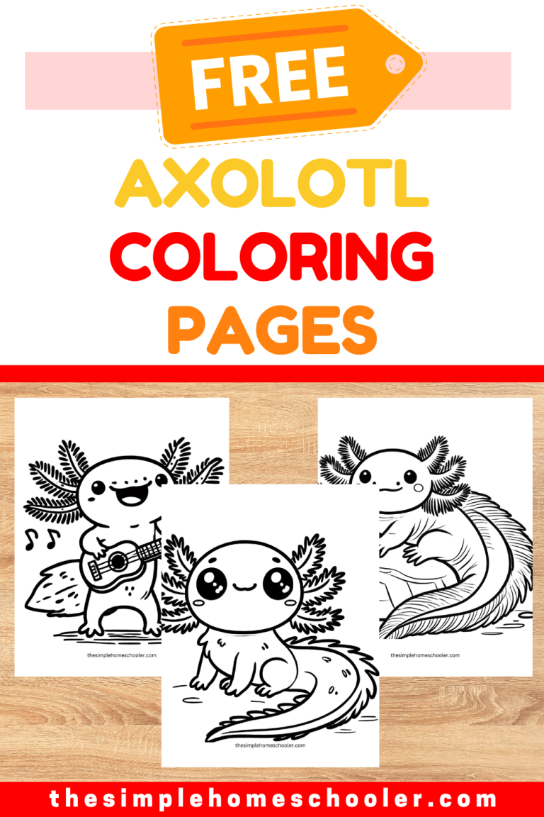 Axolotl Coloring Pages Pin